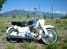 1965 Honda Dream 300